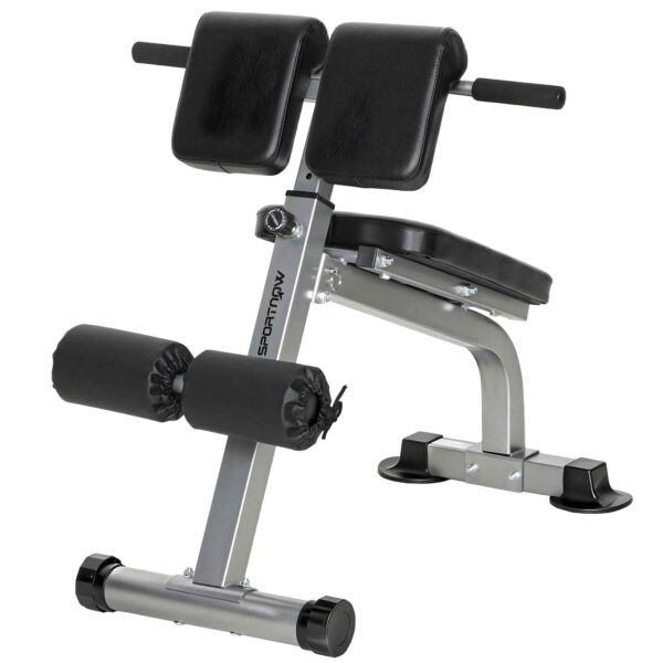 SPORTNOW Adjustable and Foldable Multifunctional Roman Bench, 150 kg Capacity, Silver