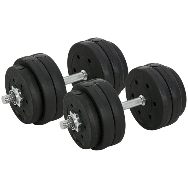 30kg Dumbbell Set (8 x 2.5 kg, 4 x 1.5 kg), Gym Weights with 12 Discs and 2 x 2 kg Dumbbells for Home Training, Black