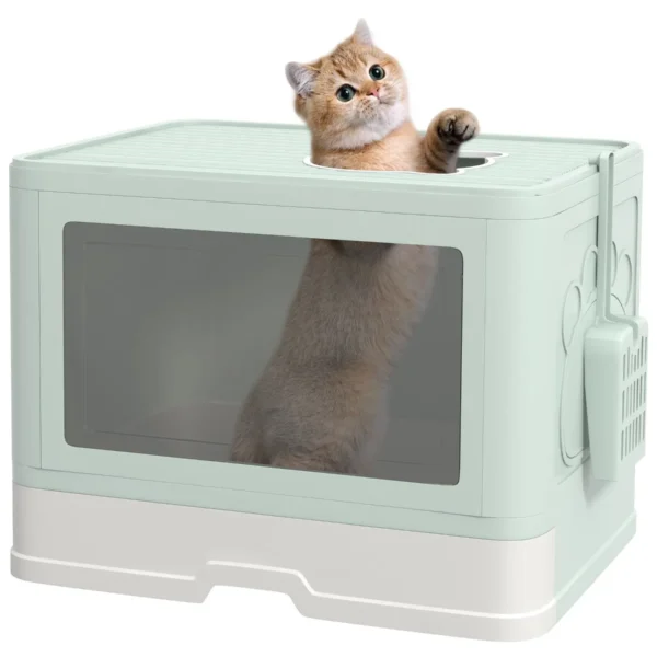 Cat Litter Box with Lid and Double Entry, Removable Tray, Scoop and Brush, Green