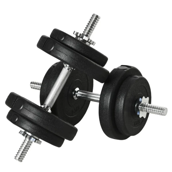 20 kg Dumbbell Set (4 x 2.5 kg, 4 x 1.5 kg) with 8 Discs and 2 x 2 kg Dumbbells, 43 x 18 x 7.5 cm, Black