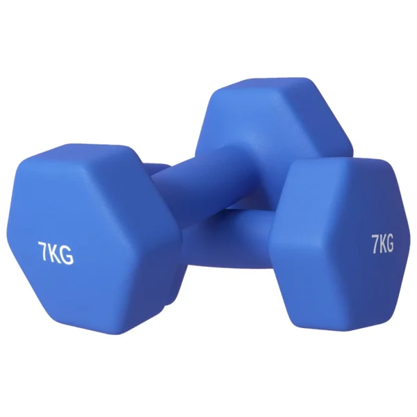SPORTNOW Set of 2 2x7kg Hexagonal Dumbbells in Metal and Plastic with Non-Slip Grip, 22.5x10.5x10.5 cm, Blue