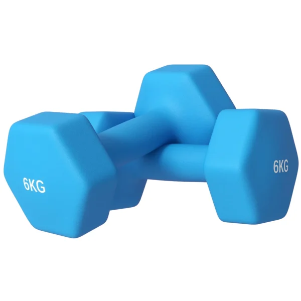 SPORTNOW Set of 2 2x6kg Hexagonal Dumbbells in Metal and Plastic with Non-Slip Grip, 22x10x10 cm, Light Blue