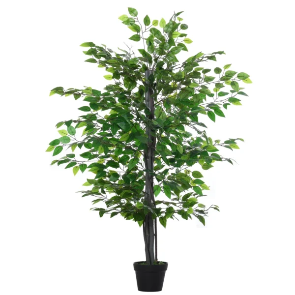 Banian Tree in a Pot 145cm