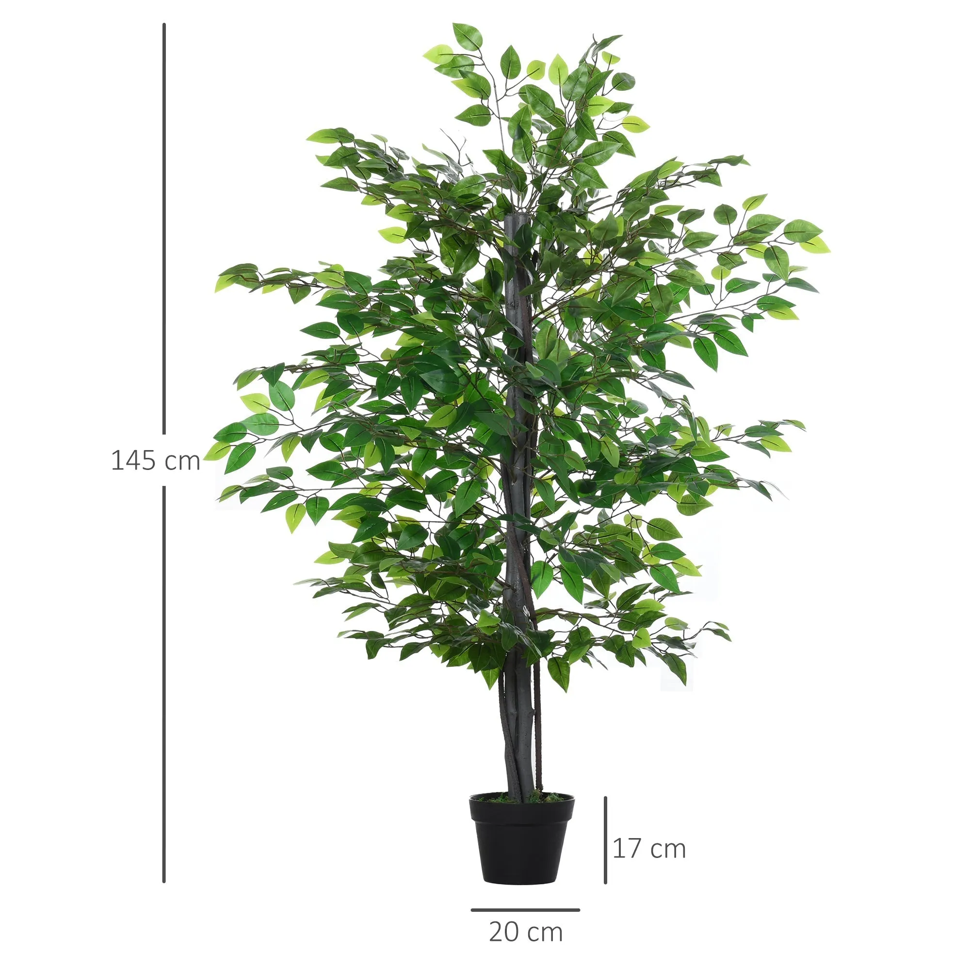 Banian Tree in a Pot 145cm - Image 3