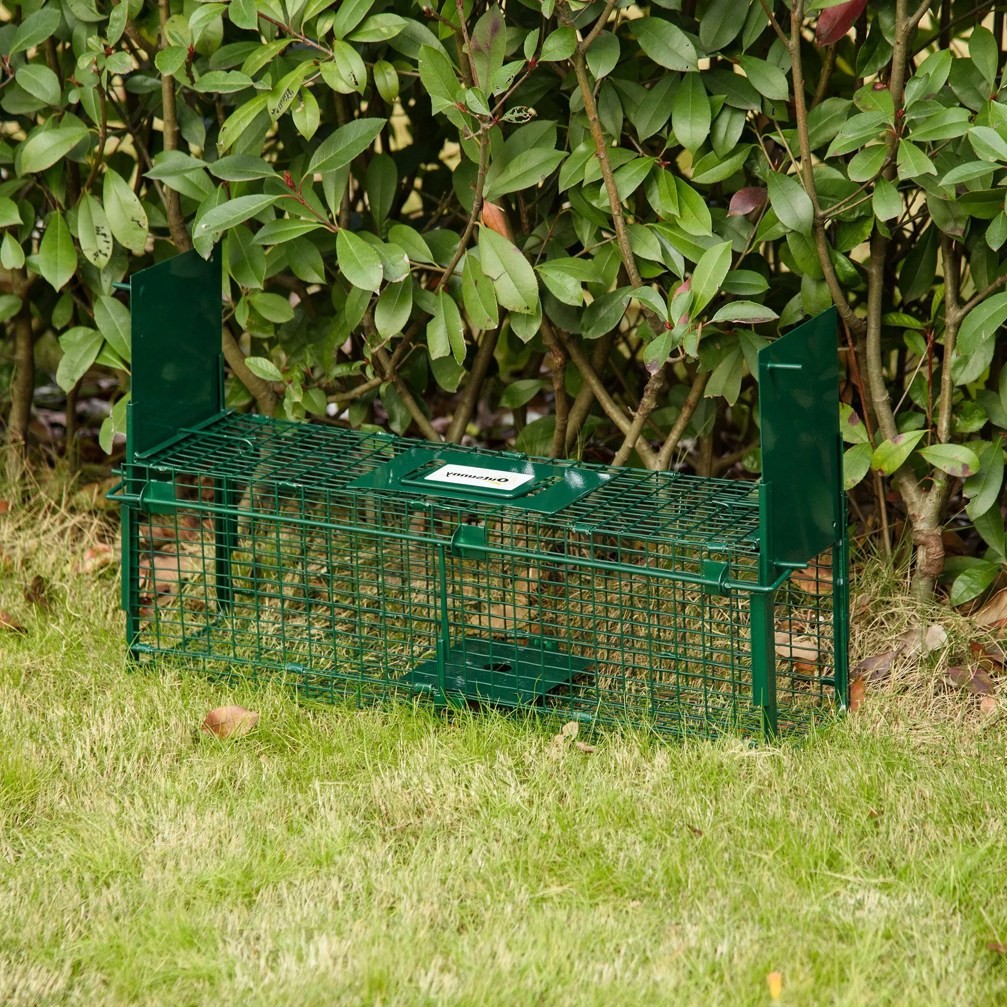 Trap Cage for Small Live Animals with Double Door and Handle, 60x18x20cm, Dark Green - Image 2