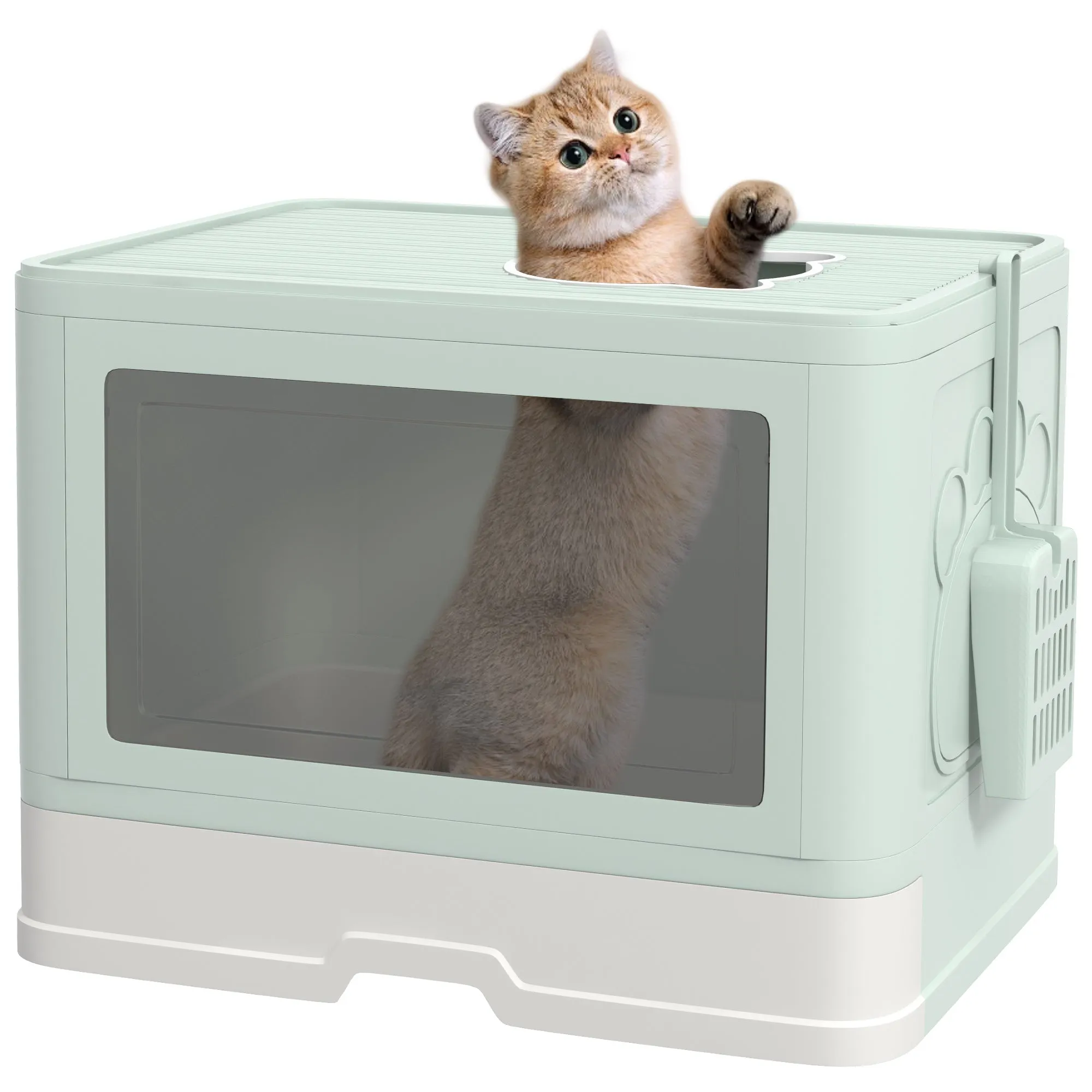 Cat Litter Box with Lid and Double Entry, Removable Tray, Scoop and Brush, Green