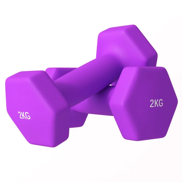 SPORTNOW Set of 2 Dumbbells 2x2 kg Hexagonal and Non-slip for Home and Gym, in Metal and Plastic, 16x7.5x7.5 cm, Purple