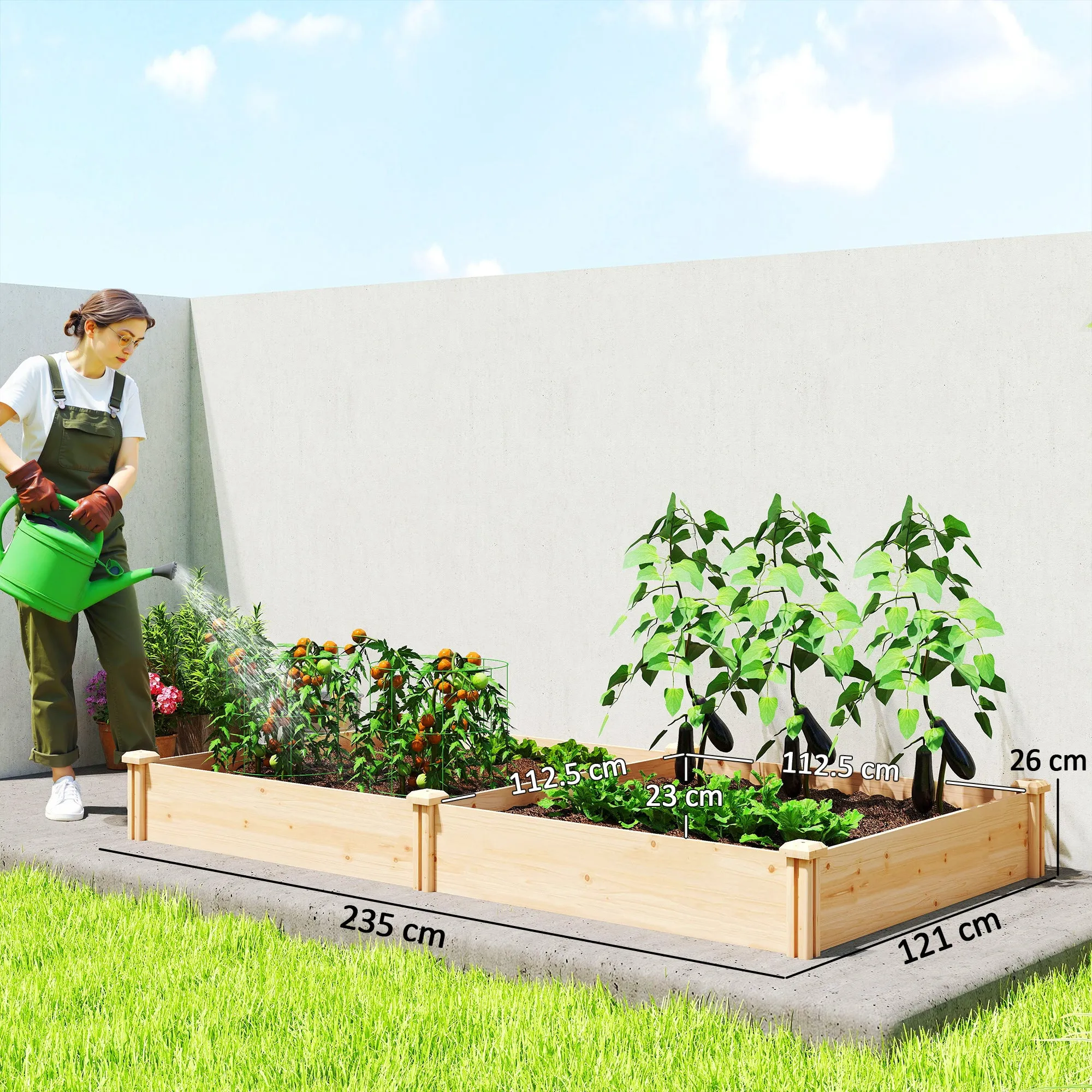 Outsunny Vegetable Garden in Box with Central Divider and Open Bottom, in Fir Wood, 235x121x26 cm, Wood Color - Image 3