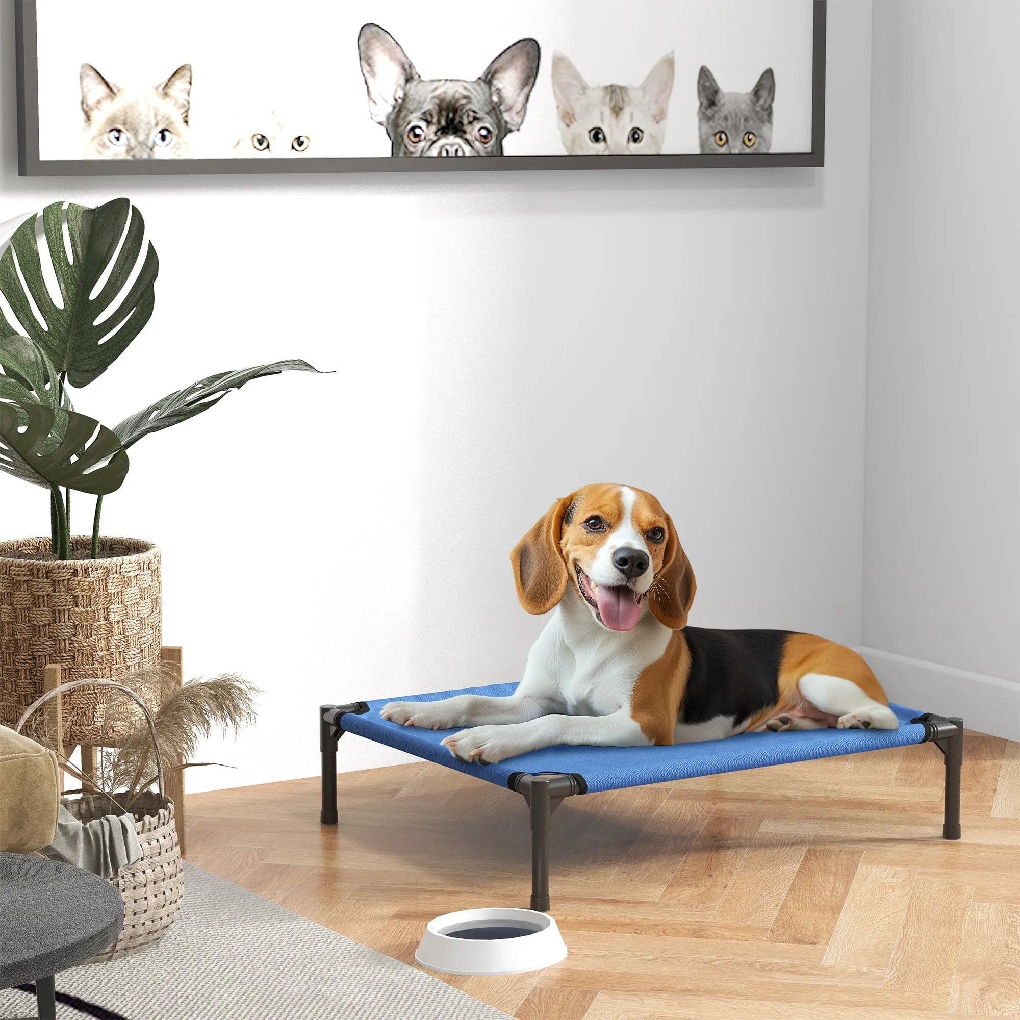 Foldable Raised Dog Bed for Indoor and Outdoor Use in Metal and Oxford Fabric, 76x61x18 cm, Blue - Image 2