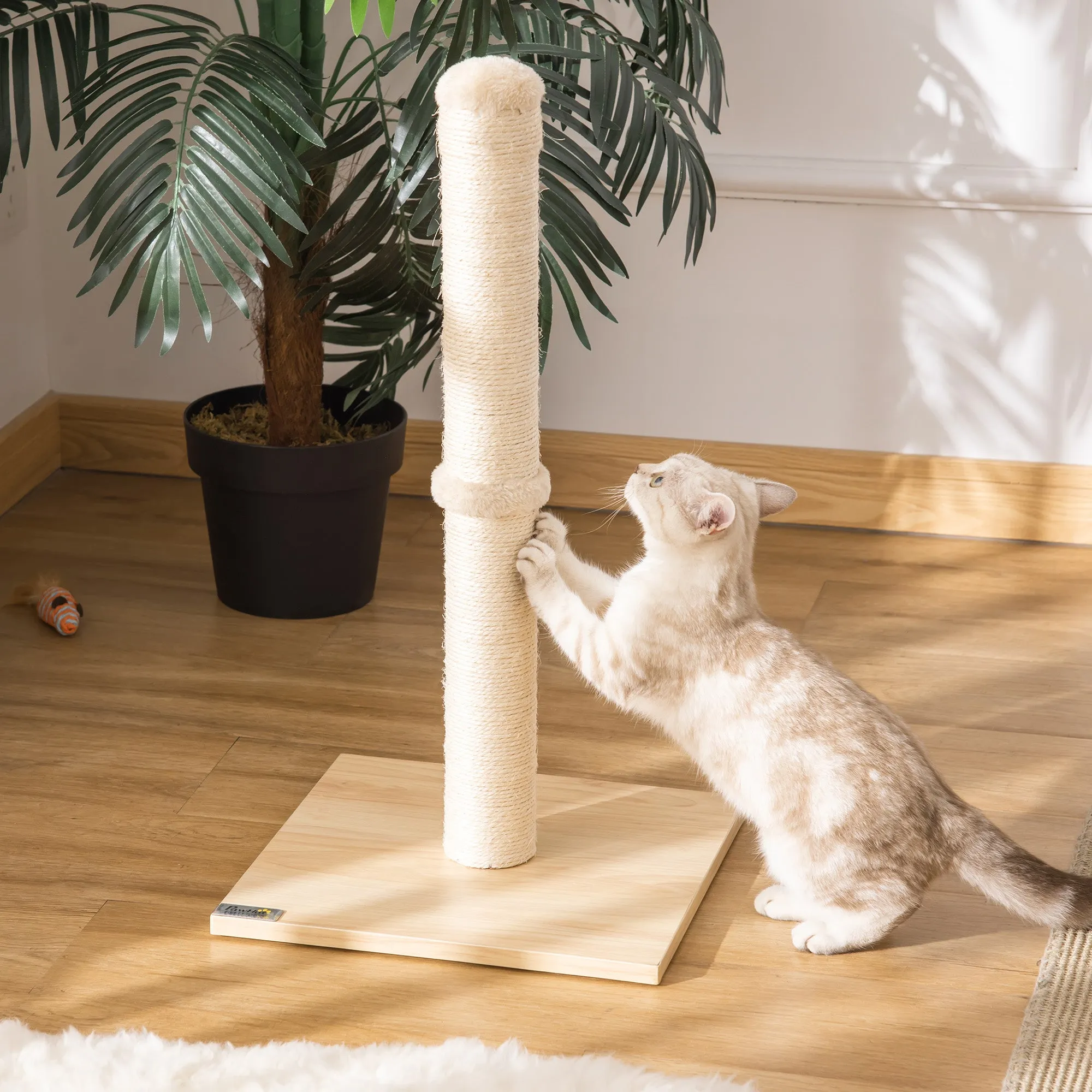 Cat Scratching Post with 60cm High Sisal Pole and Chipboard Base, Beige - Image 2