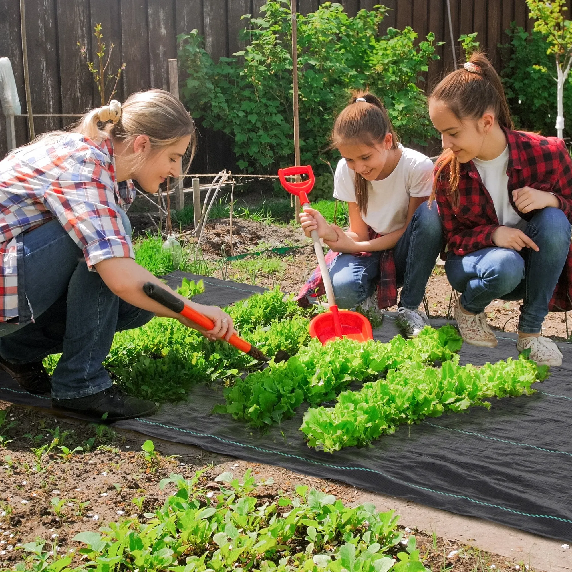100x1m Breathable and Anti-UV Polypropylene Black Mulch Sheet - Image 2